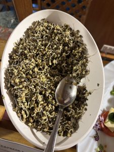 A white serving dish filled with mung bean sprouts, showcasing the small, green sprouts with delicate, white roots.